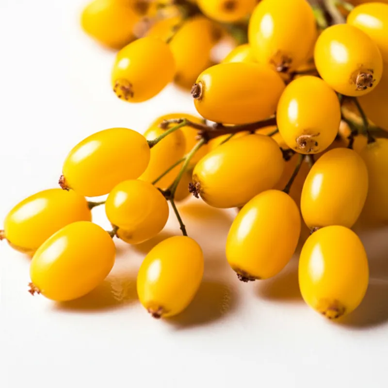 Berberine