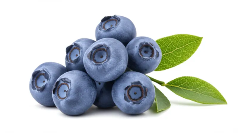 Bilberry