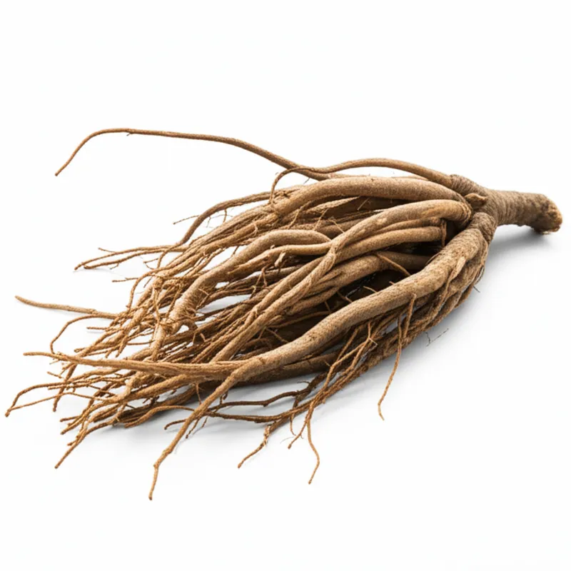 Black Cohosh