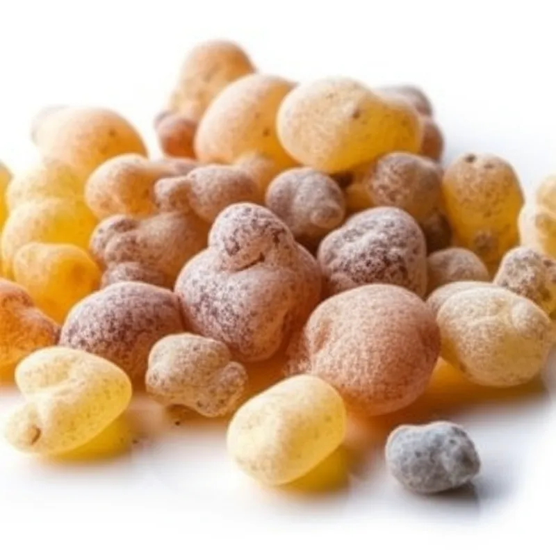 Boswellia