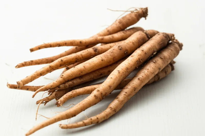 Burdock