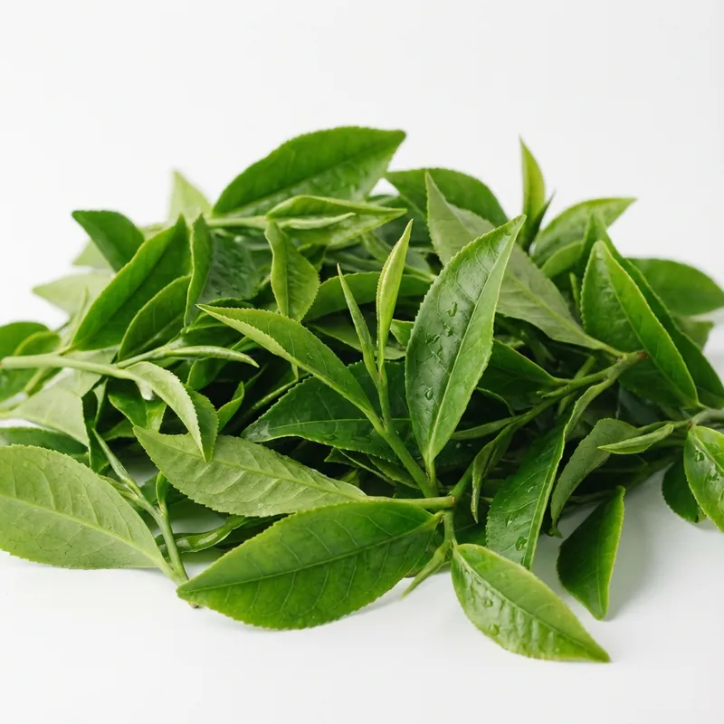 Green Tea
