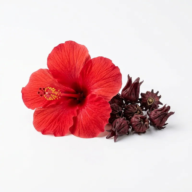 Hibiscus tea