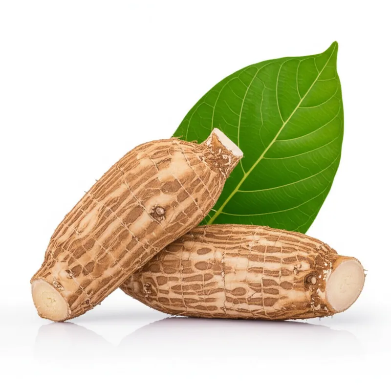 Kava