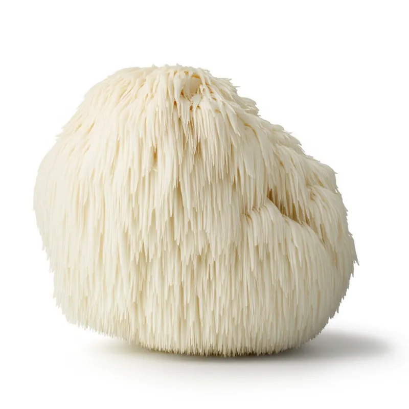 Lion's Mane