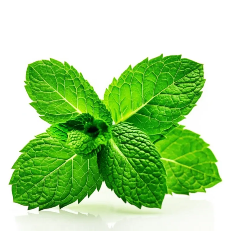 Mint