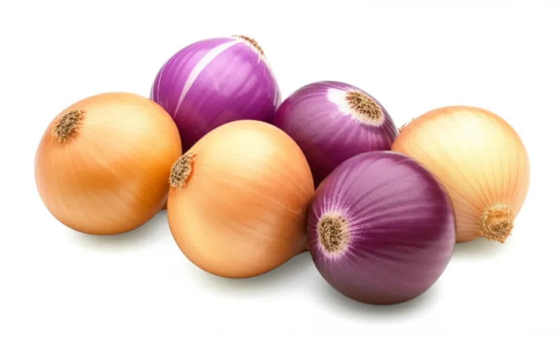 Onion