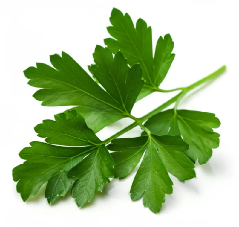 Parsley