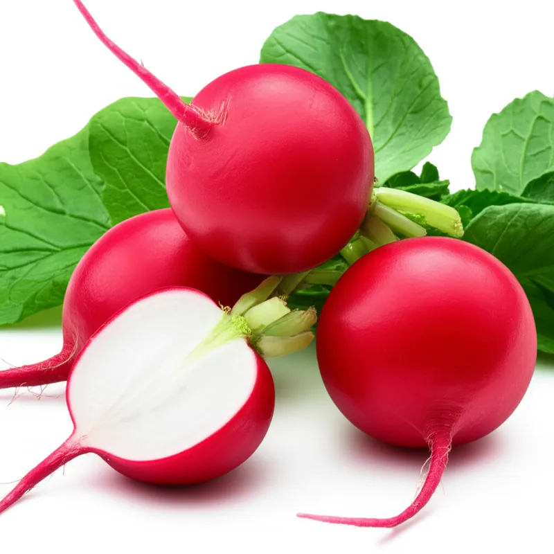Radish